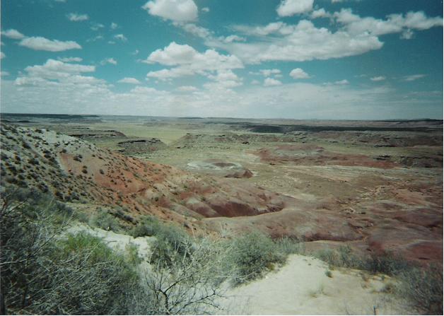 I took this of the Painted Desert