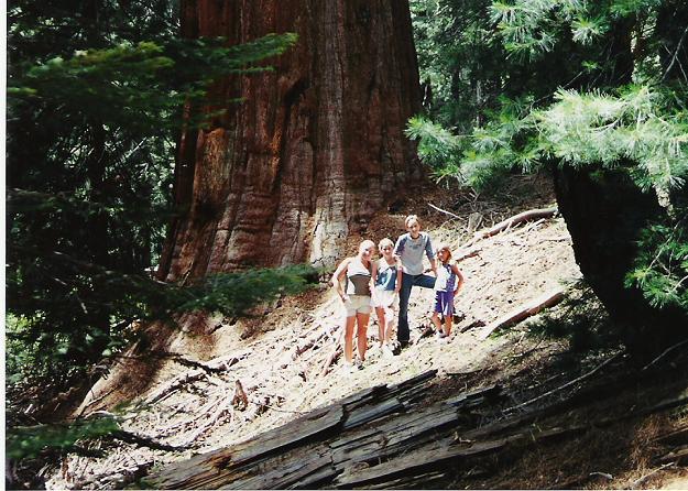 This is in the Sequoia National Forest